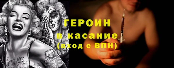 индика Белокуриха
