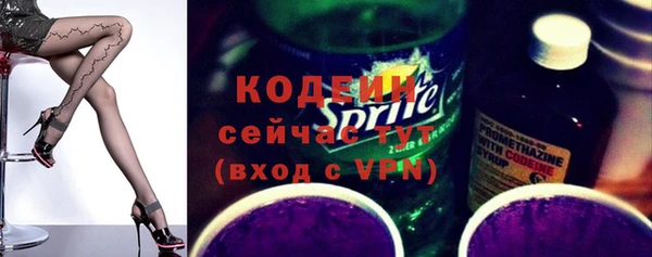 индика Белокуриха