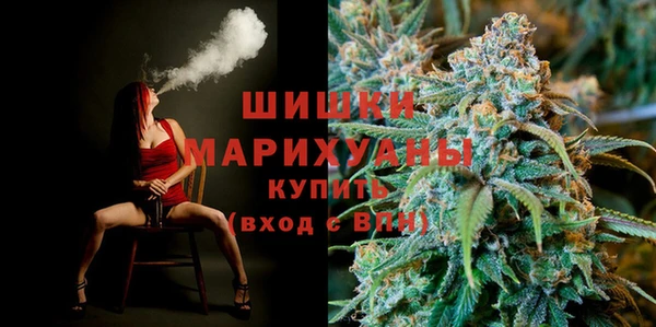индика Белокуриха