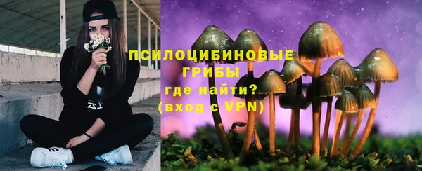 индика Белокуриха