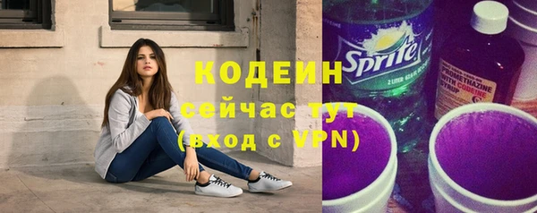 индика Белокуриха