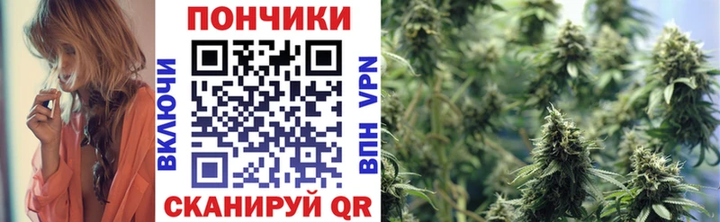 продажа наркотиков  Дальнегорск  Бошки Шишки SATIVA & INDICA 
